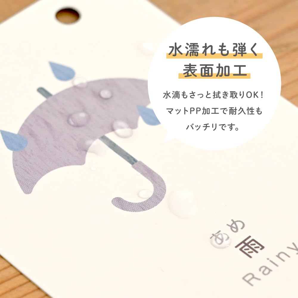 Amazon | [MUQQU] 日めくりカレンダー 知育 卓上 万年使える 1年